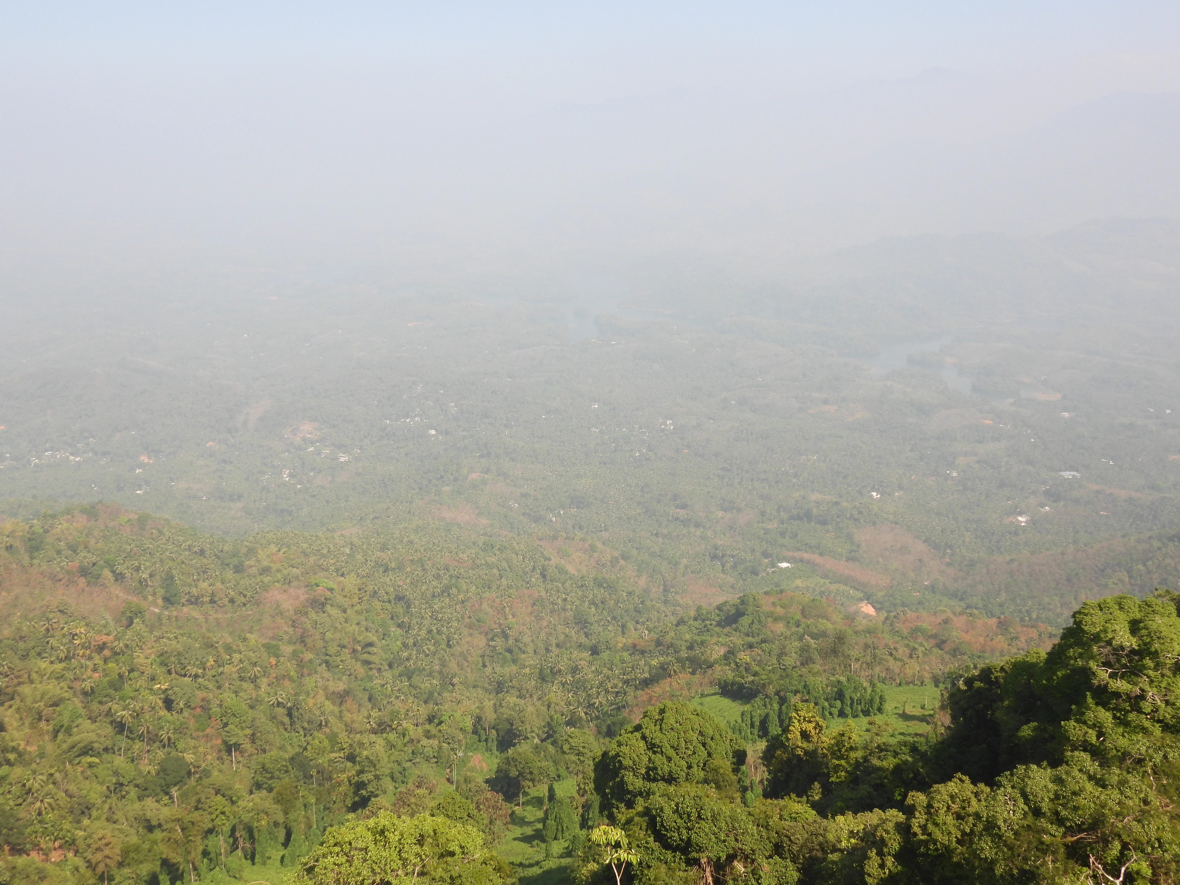 Panoramic view of a lush green valley with dense forest, rolling hills, and a light mist covering the distant landscape.