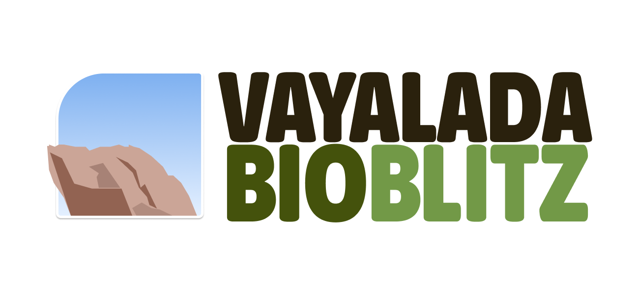 Vayalada Bioblitz 2026