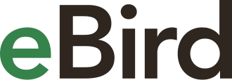 eBird Logo